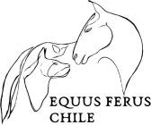 Equus Ferus Chile